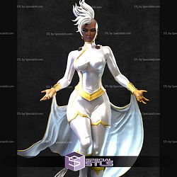 Storm Flying Water Base 3D Printer Files