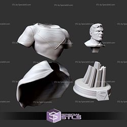 Superman Kingdom Come Bust 3D Printer Files