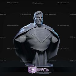 Superman Kingdom Come Bust 3D Printer Files