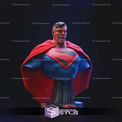 Superman Kingdom Come Bust 3D Printer Files