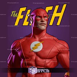 The Flash Barry Allen 3D Printer Files