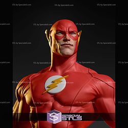 The Flash Barry Allen 3D Printer Files
