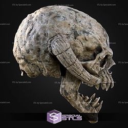 Life Sized Wampa Head Wall Mount 3D Printer Files