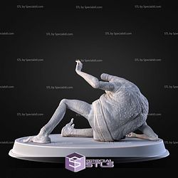 Turgle Starwars Pose 2 3D Printer Files