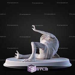 Turgle Starwars Pose 2 3D Printer Files