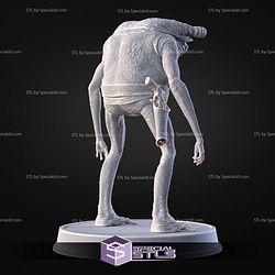 Turgle Starwars Pose 3 3D Printer Files