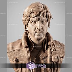 Cassian Andor Portrait Bust 3D Printer Files