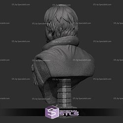 Cassian Andor Portrait Bust 3D Printer Files