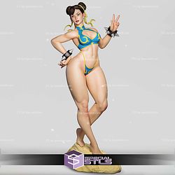 Chun Li Various Version 3D Printer Files