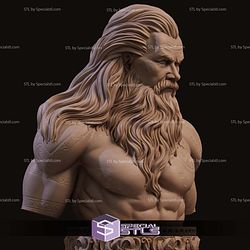 Ivar The Runic Warrior Bust 3D Printer Files