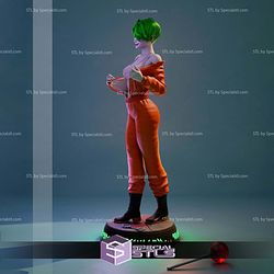 Joker Female 1-6 3D Printer Files