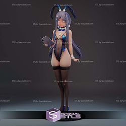 Nikke Exia Bunny Suit 3D Printer Files