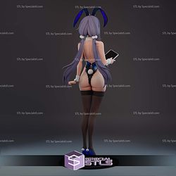 Nikke Exia Bunny Suit 3D Printer Files