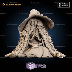 Ranni Doll 53mm 3D Printer Files