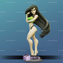 Shego Power in Hand 3D Printer Files