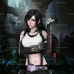 Tifa Lockart Standalone 300mm 3D Printer Files