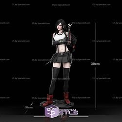 Tifa Lockart Standalone 300mm 3D Printer Files