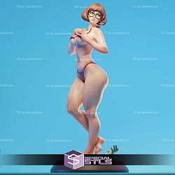 Velma Swim Suit 3D Printer Files