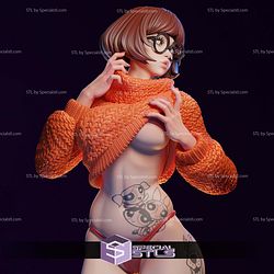 Velma Swim Suit 3D Printer Files