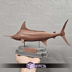 Blue Marlin Makaira Fish Display 3D Printer Files