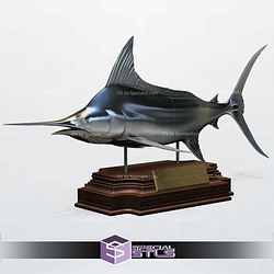 Blue Marlin Makaira Fish Display 3D Printer Files