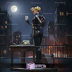 Catwoman Detective 3D Printer Files