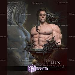 Conan the Barbarian Original Bust 3D Printer Files