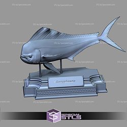 Coryphaena Fish Display 3D Printer Files