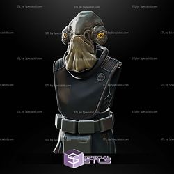 Custom 1 12 Figure STL Admiral Raddus