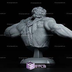Cyclops X-Men Bust 124mm 3D Printer Files