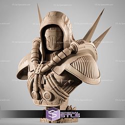 Darth Marr Portrait Bust 3D Printer Files