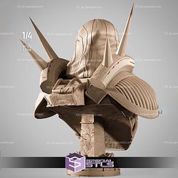 Darth Marr Portrait Bust 3D Printer Files