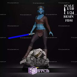 Aayla Secura Blue V2 3D Printer Files
