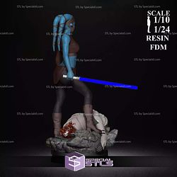 Aayla Secura Blue V2 3D Printer Files