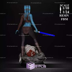 Aayla Secura Blue V2 3D Printer Files