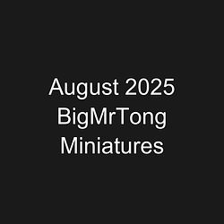 August 2025 BigMrTong Miniatures