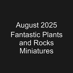 August 2025 Fantastic Plants and Rocks Miniatures