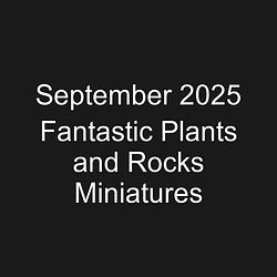 September 2025 Fantastic Plants and Rocks Miniatures