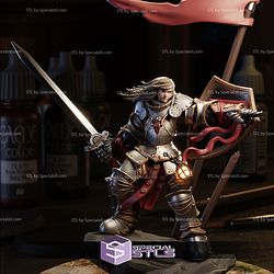 Heavy Armored Female Knight STL Miniatures