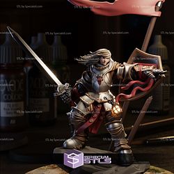 Heavy Armored Female Knight STL Miniatures