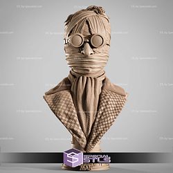 Invisible Man Portrait Bust 3D Printer Files