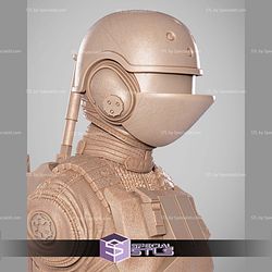 Jin Erso Portrait Bust 3D Printer Files