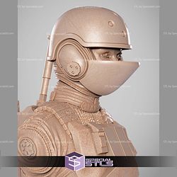 Jin Erso Portrait Bust 3D Printer Files