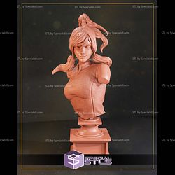 Korra Avatar The Legend of Korra Bust 3D Printer Files