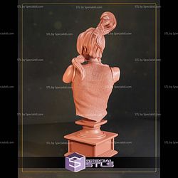 Korra Avatar The Legend of Korra Bust 3D Printer Files