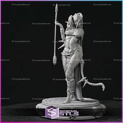 Ladies of Chaos Afterlife Campaign STL Miniatures