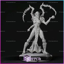 Ladies of Chaos Afterlife Campaign STL Miniatures