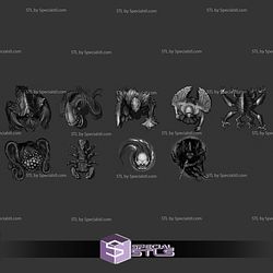 August 2025 Devin Night Miniatures