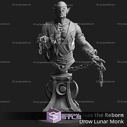 August 2025 Dungeon Masters Stash Miniatures