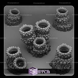 August 2025 Fantastic Plants and Rocks Miniatures